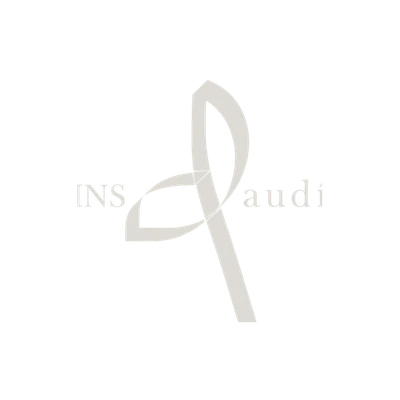Logotipo de Institut Gaudí